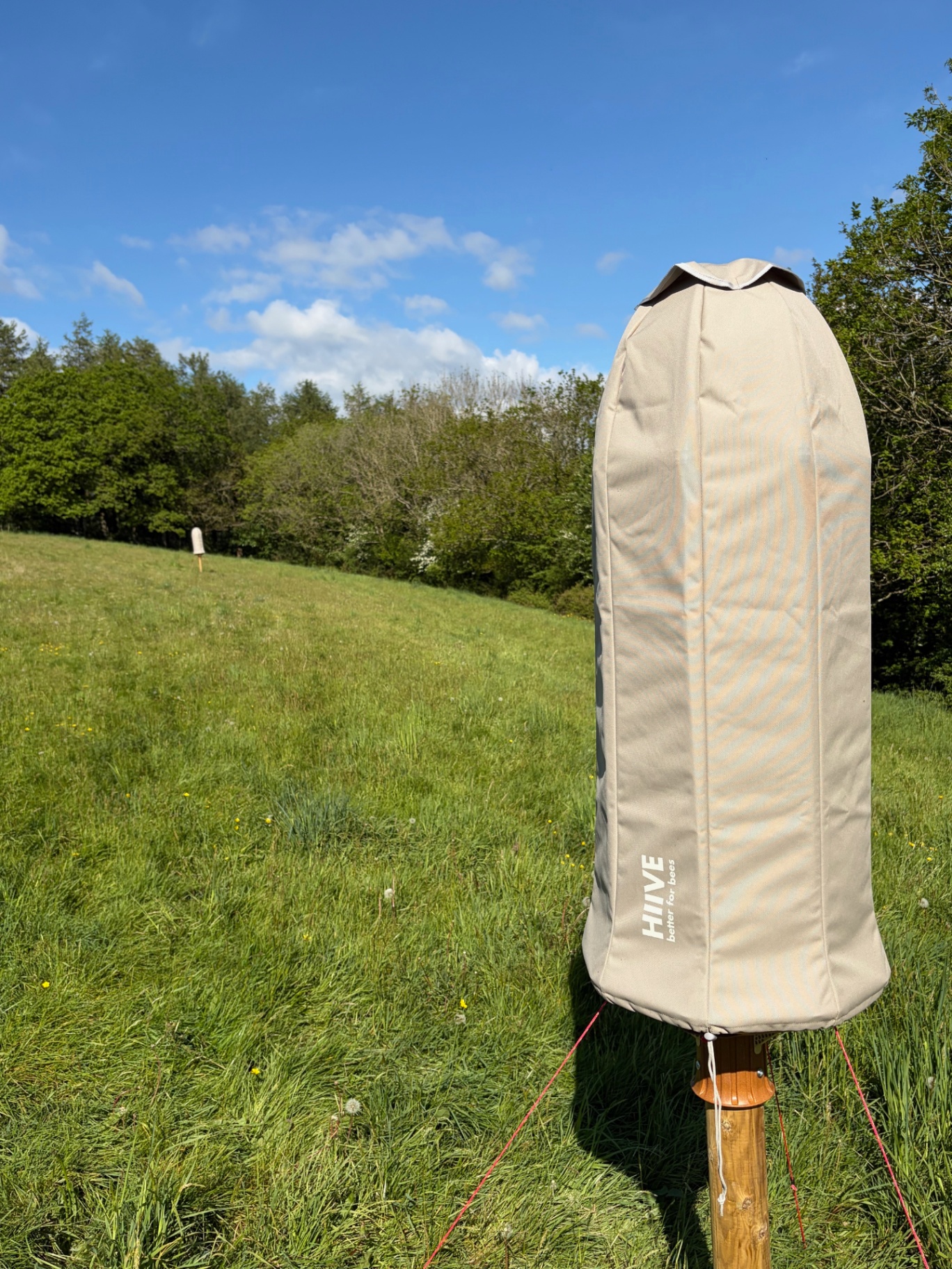 Hiive beehive in a Blinsham meadow